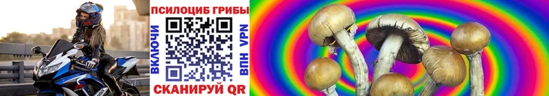mega ССЫЛКА  Туймазы  Псилоцибиновые грибы Magic Shrooms 